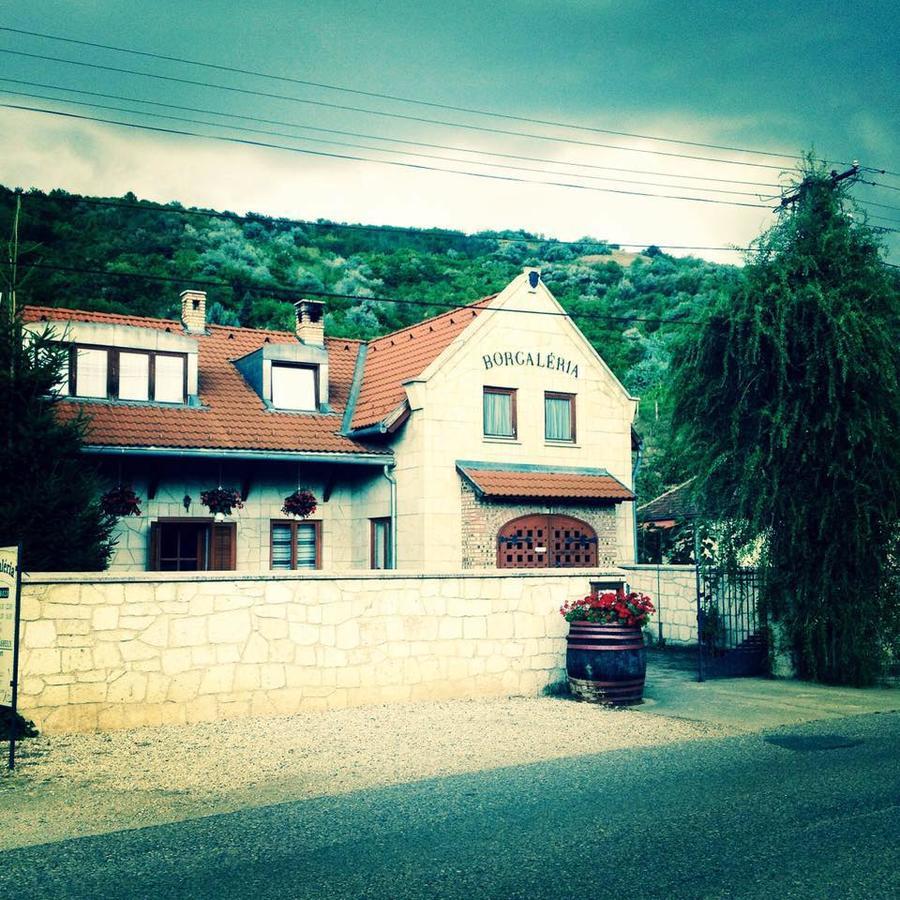 Borgaleria Hotel Tokaj Exterior photo